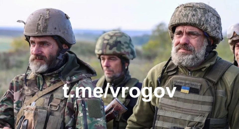 Владимир Рогов: ЗеФюрер бросит на убой стариков - чтобы удержаться у власти