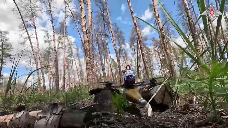 Минобороны России: Дроноводы выжигают противника