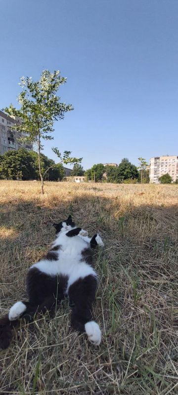 С добрым утром, с наступившим днём!
