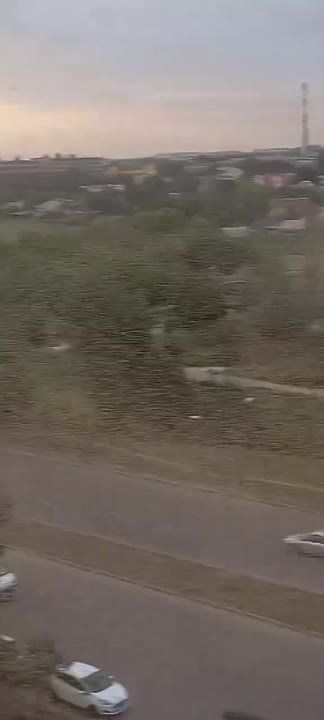 В нашествии саранчи на Украину виновата Россия