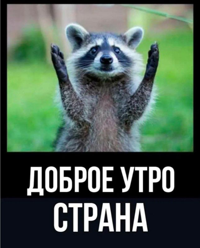 ������ ����, ������! �������� ��� ��� � ��������� ����������!