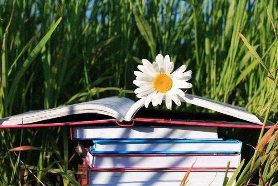 Томская детско-юношеская библиотека проведет вебинар, посвящённый организации познавательного досуга детей и подростков