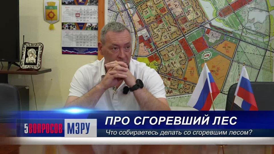 Что больше всего волнует горожан? Бездействующие лифты, засохшие деревья без полива и исчезнувшие ремонтники крыши!