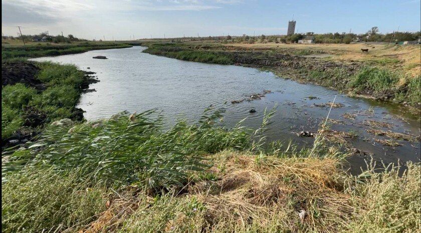 Воссоединенные регионы получат 52 млн рублей на экологические мероприятия