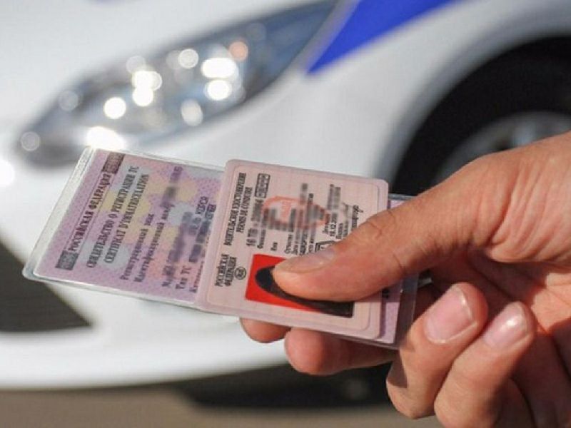 Анна Хорошун: В Запорожской области действует особый порядок оформления автомобилей и водительских удостоверений