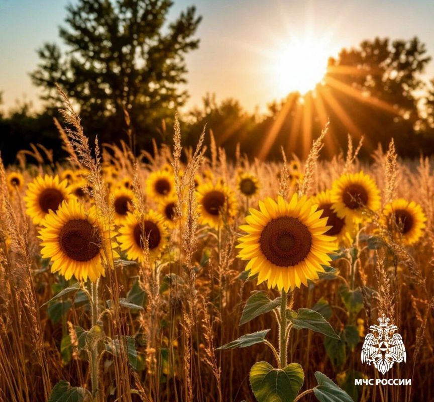 Чрезвычайная пожароопасность