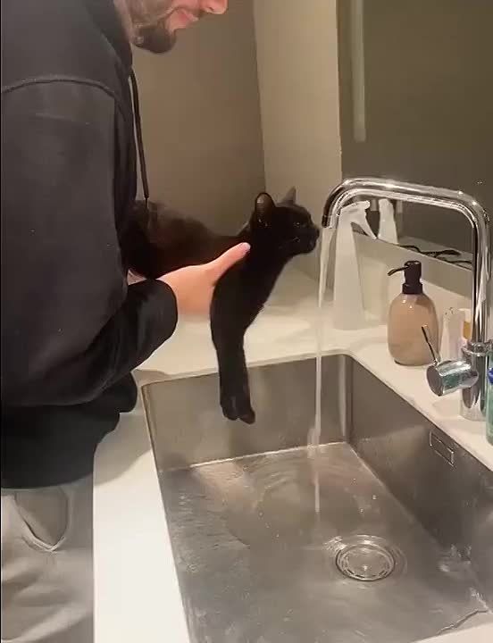 ���������� ��� ����� �������