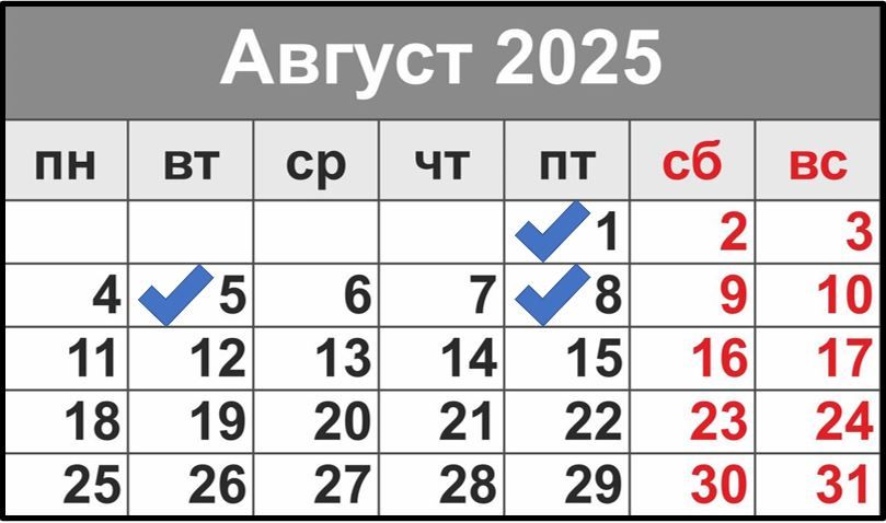 Какие выплаты ждать в августе?