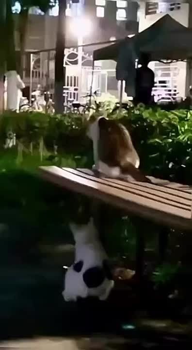 ��� � ����� ��������. ��� ������������ � ���������