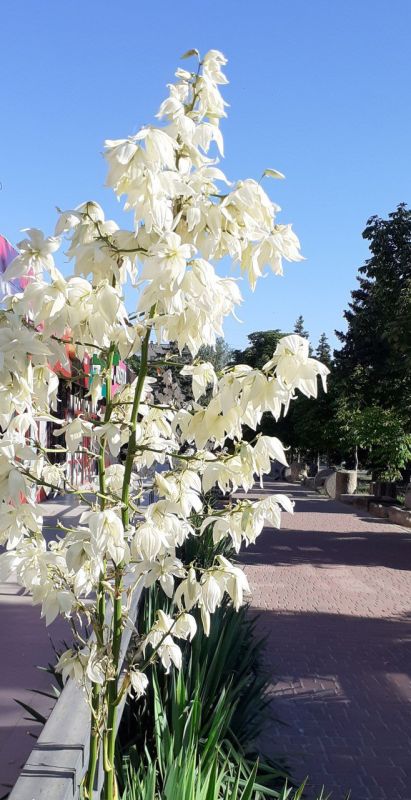 С добрым утром, с наступившим днём!
