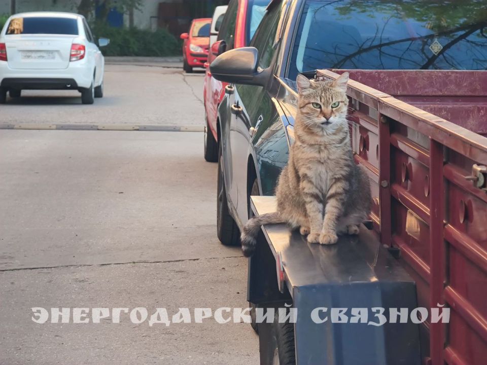 ������������� ���� ������ � ������ �������� �������� 30 ����