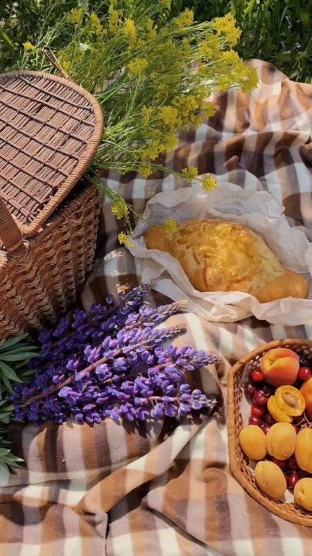 30  2025 . , 31  2025   ,  