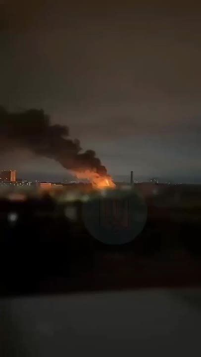 Владимир Рогов: Массовое цветение «Герани» во временно оккупированном нацистами Киеве