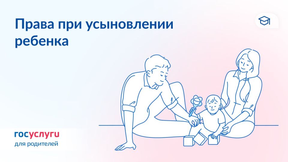 ���� ��������, ������� � ����������: 7 ���� ��� �����������