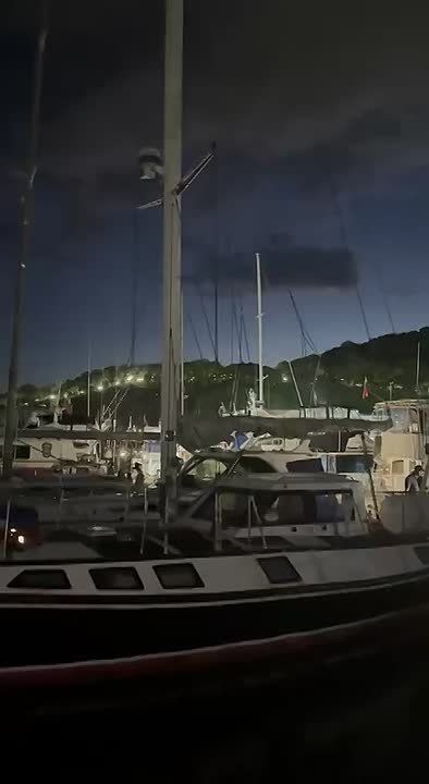 Ирина Куксенкова: Сколько слонов из Лаоса направят в Петербург, как изменятся ипотечные каникулы для семей с детьми, Иран требует от США компенсацию за удары по ядерным объектам — вечерняя сводка 31 июля: