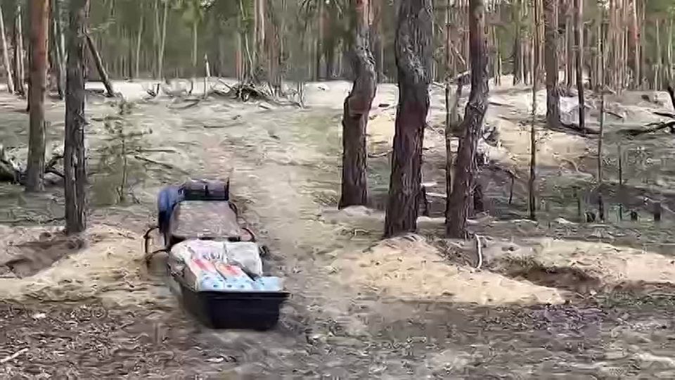 Анна Хорошун: Андрей Белоусов адресовал поздравления военнослужащим Тыла Вооружённых Сил России с их профессиональным праздником