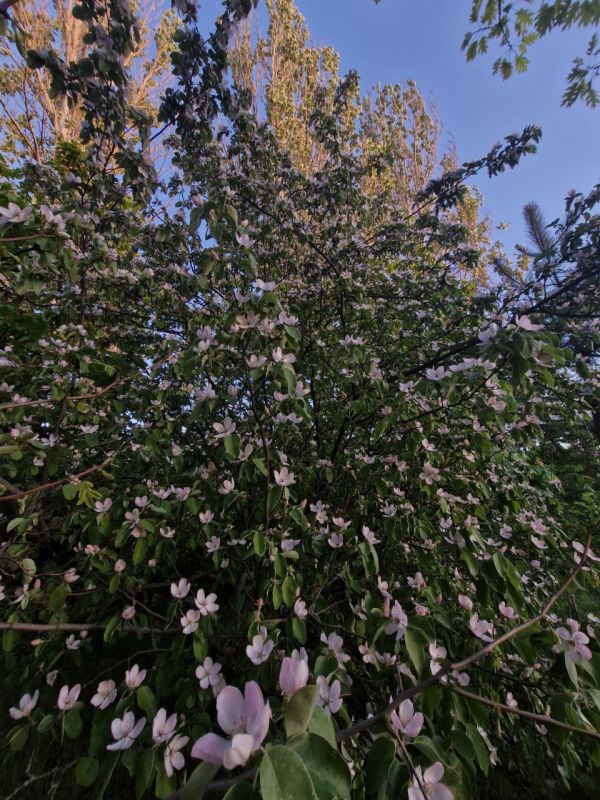 Утро — рождение нового дня, начало маленькой главы жизни