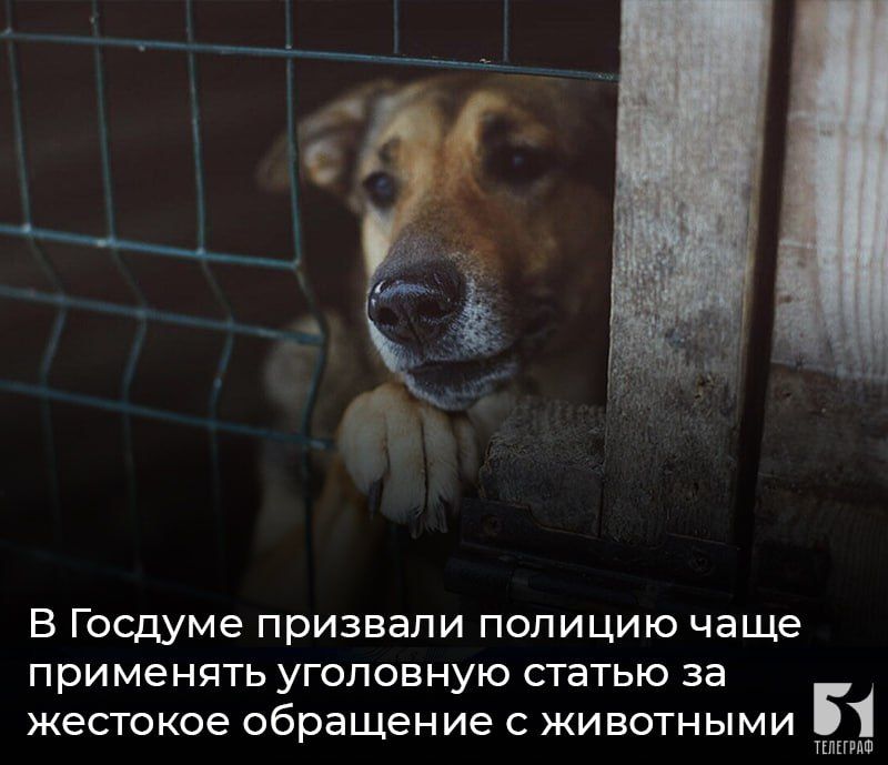 � ������� �������� ������� ���� ��������� ��������� ������ �� �������� ��������� � ���������