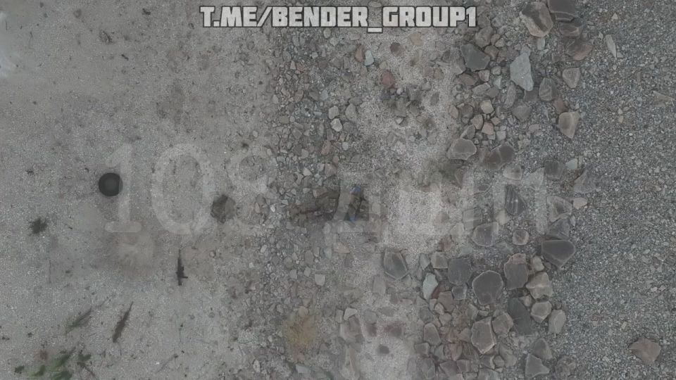 ����������� �����������. ��� �������� �� ������ ������������ ������ ������