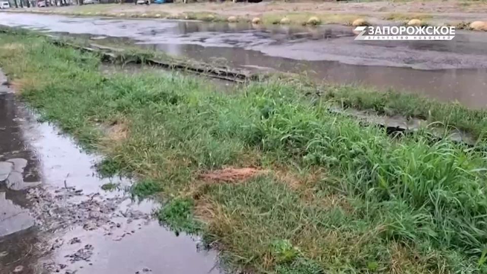 В Бердянске сегодня дождливо