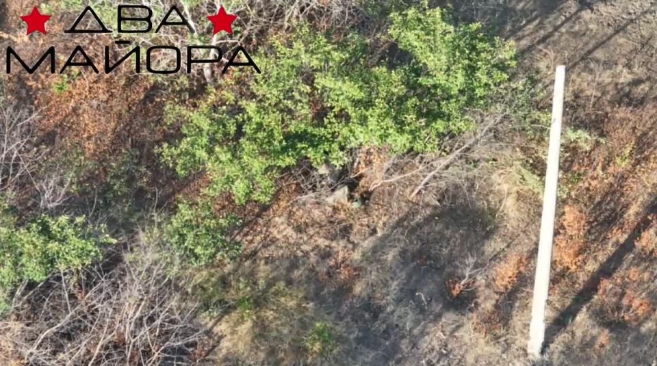 Два майора: Запорожский фронт. Дневник Десантника пишет, что противник ещё позавчера начал попытки контратаковать наши позиции и выдвинулся от Степногорска несколькими группами