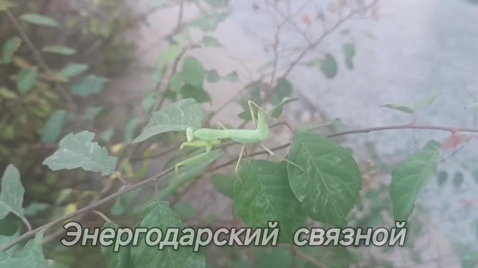 ���� ����� ���������� ������ �������, ����� � ������ �����������, ��������� � ������ ����������, �������� � ������ ����������, � ���� �������� ���������� ����� �����������