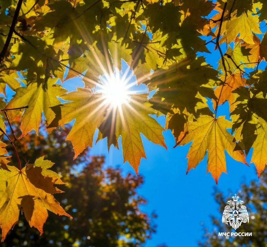 Чрезвычайная пожароопасность