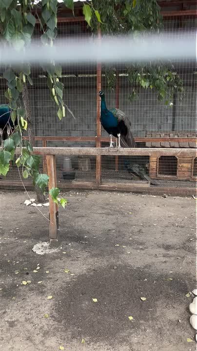 ������ ������ ������... �����? ������� � ����� ����� �� ����������� ��������!