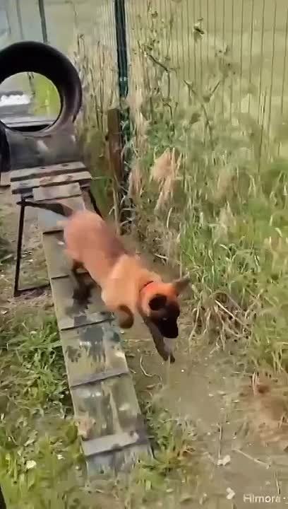 ������ ��� �� �����. ��� ����� ��� "���������", ����� ��������� � � ��������, �� �� �� ����� ������� �������� ����� ������ ������� ������