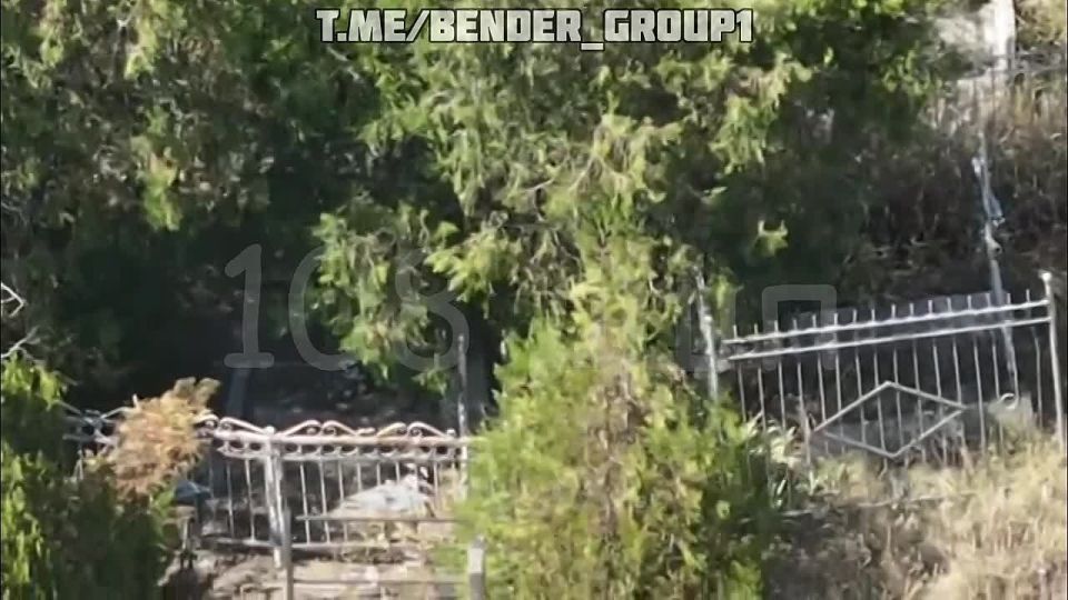 ��������� ��������� ��� � ����������� FPV-������ � ������� � ������ �.� ���������, ����������� �������