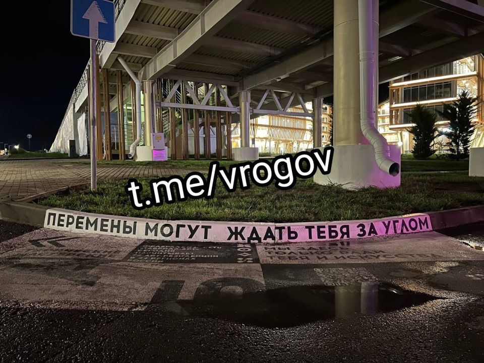 Владимир Рогов: Лучше всех это выражение поймут мои земляки-запорожцы
