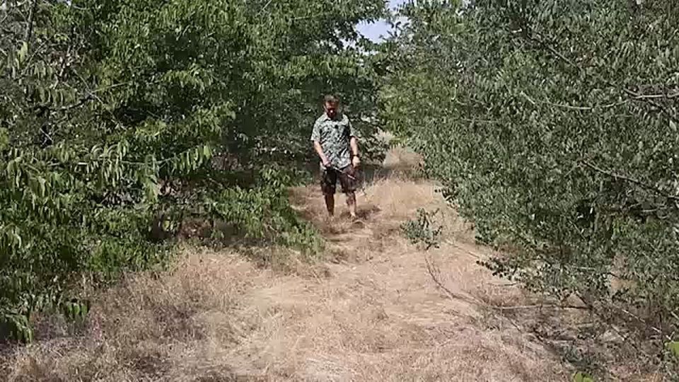 Нашествие саранчи на Запорожскую область не представляет опасности