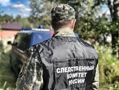 Житель Токмака подозревается в применении насилия в отношении полицейских