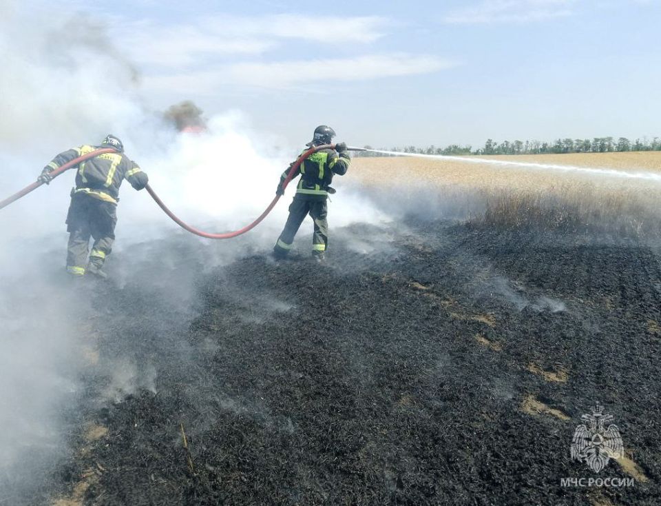 250 пожаров ликвидировано в Запорожской области за неделю