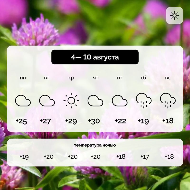 Погода в Запорожской области на 4 — 10 августа