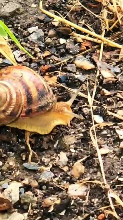 Встречаем новую рабочую неделю, друзья! Доброе утро!