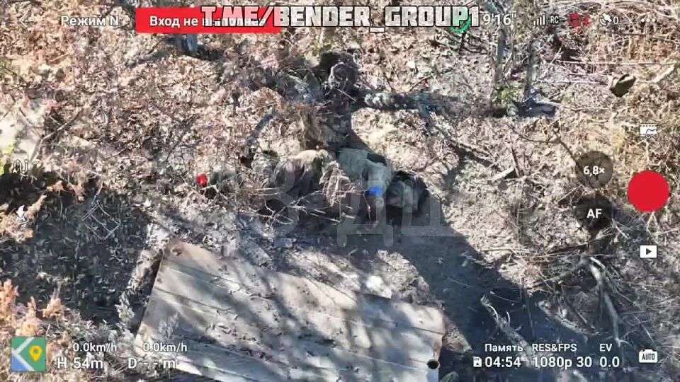 ����� ���������������� ������� �������� �������� ���������� ��� �� ��������-������������� ����������� � ����������� �������