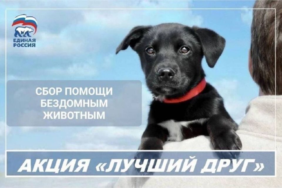 � ������ ����� ������� ���� ���������� ������� ������ ���������� ���� ������ ������� ��� ��������