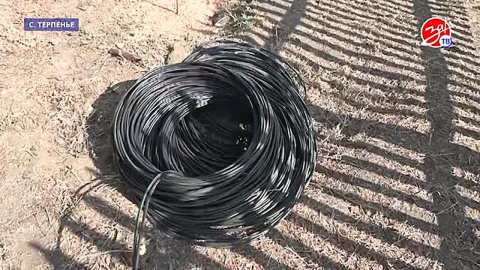 � �������� ����������� ������������ ������� �������� ���������