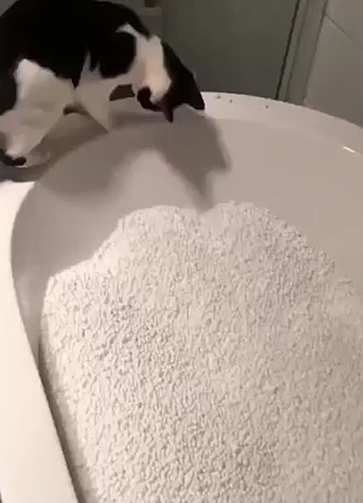 ����� ��������� � ����� ������� ����