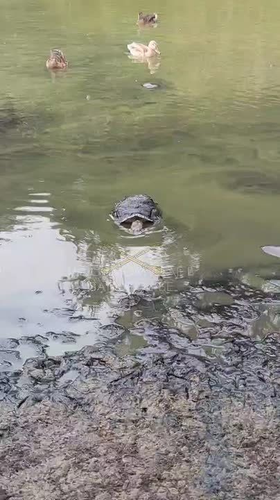 ��������� ����� ������ � ���������