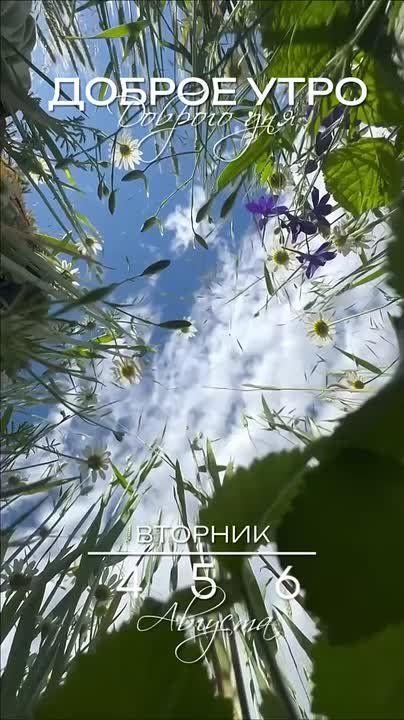 ������� ���� , ������� ������������!