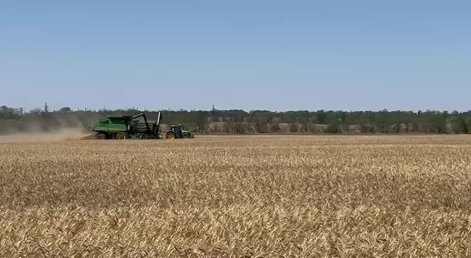 Запорожские аграрии близки к завершению уборочной кампании