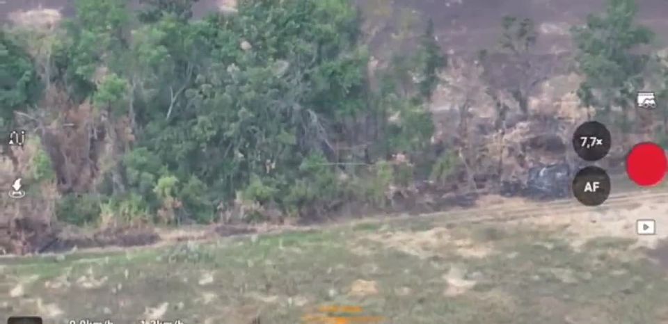 ��� �� ����. ��� ����������