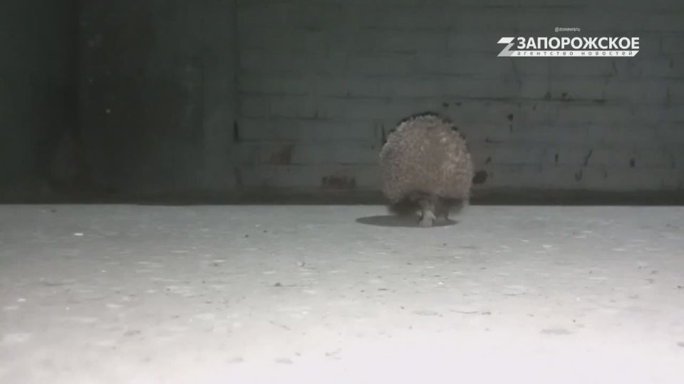 �������� ��������, ��� ��� ����������� � ������������