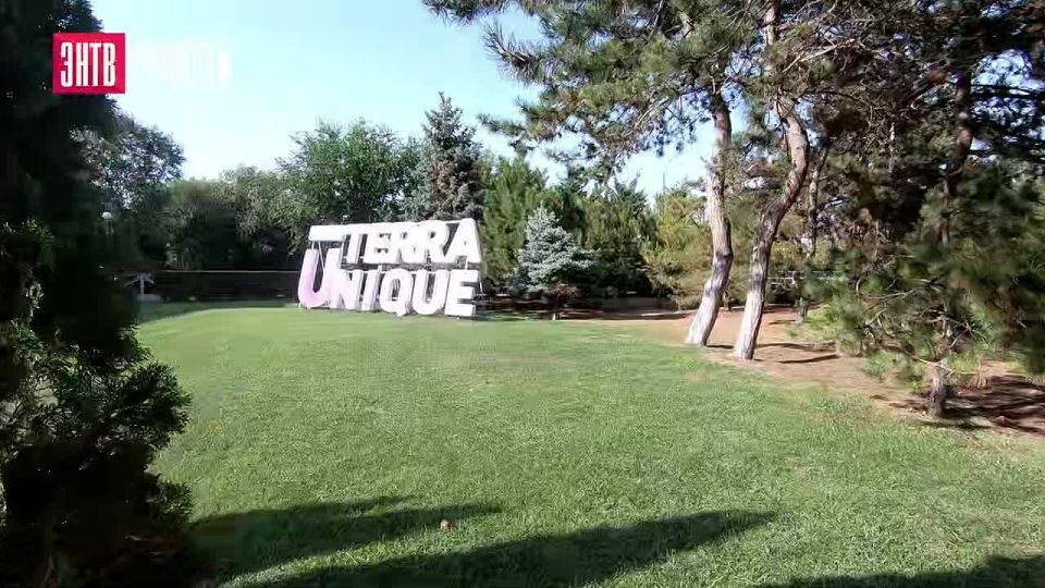 ����: �������� ����������� ��� �������� ������������� �����, ���������� � ������� ������ � �����