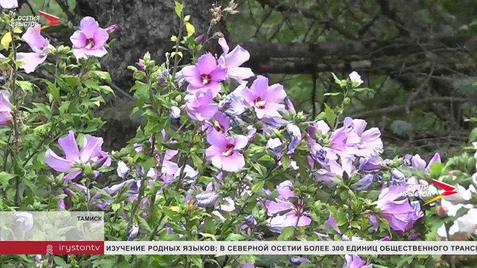 ���� �� ������������� ������ �������� � �������� ������