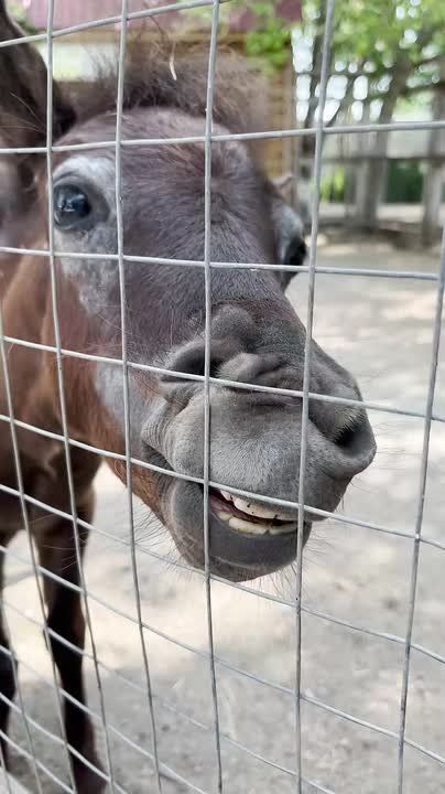 �������� �� ����������� �������� �������� ������ � ���� ��� � �����