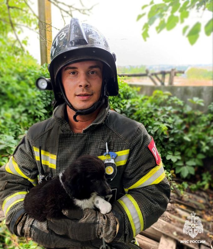 МЧС России спасли щенка из 13-метрового колодца в Бердянском МО