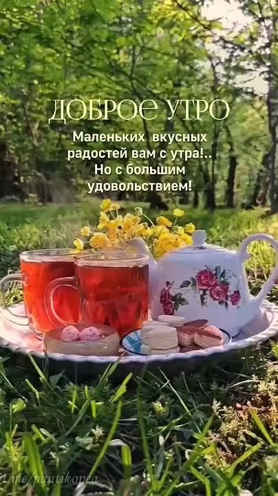 ���� ������ ����, ����������� ���